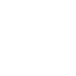 DataRobot logo