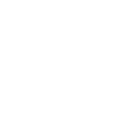 InVideo AI logo