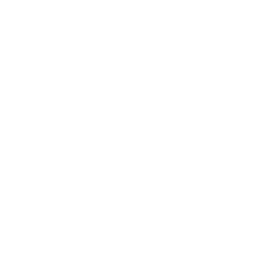 Ludo.ai logo