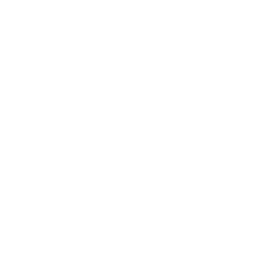 ANYbotics ANYmal logo
